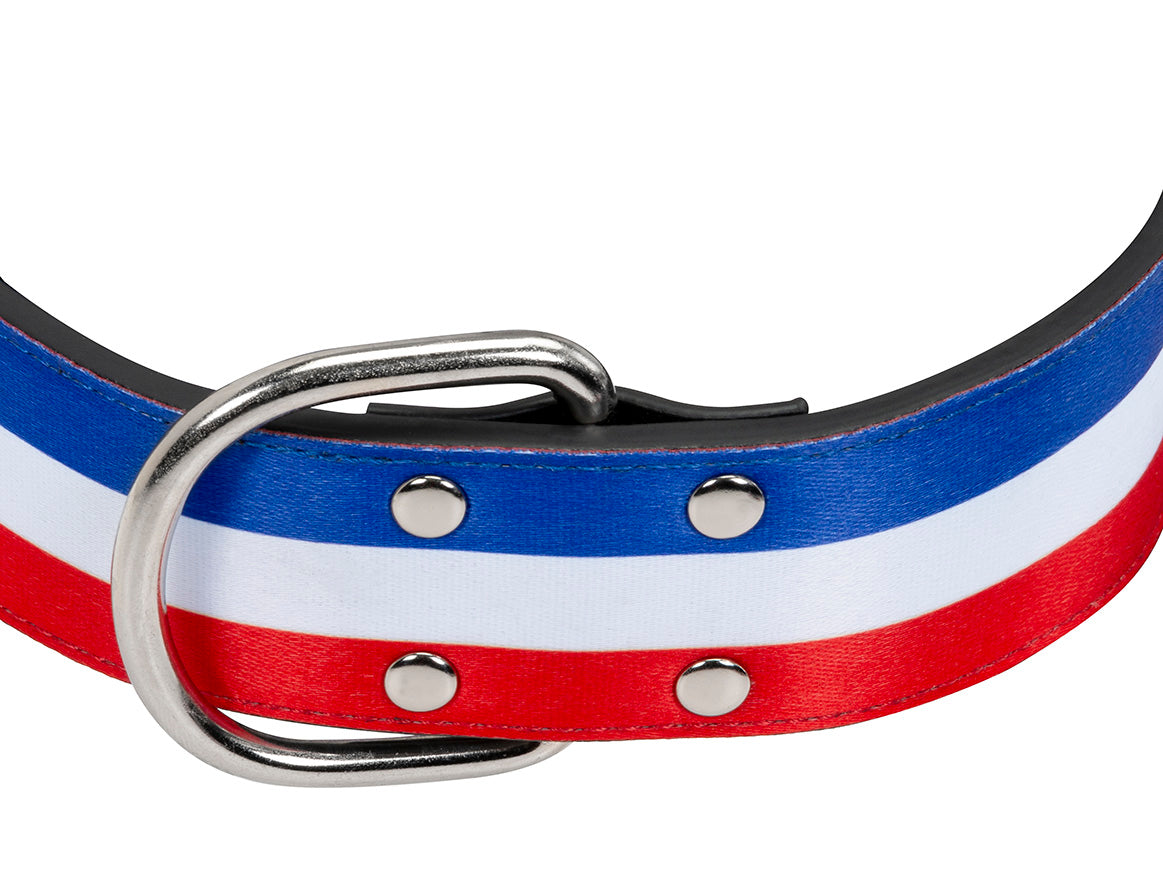 Red white and store blue dog collar