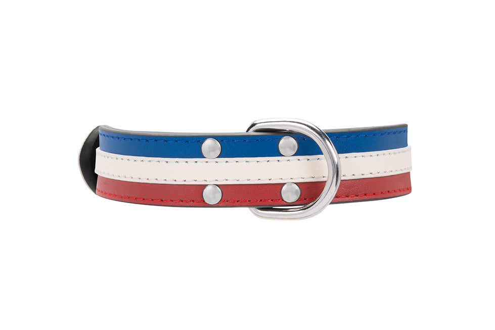 Red white and hot sale blue dog collar