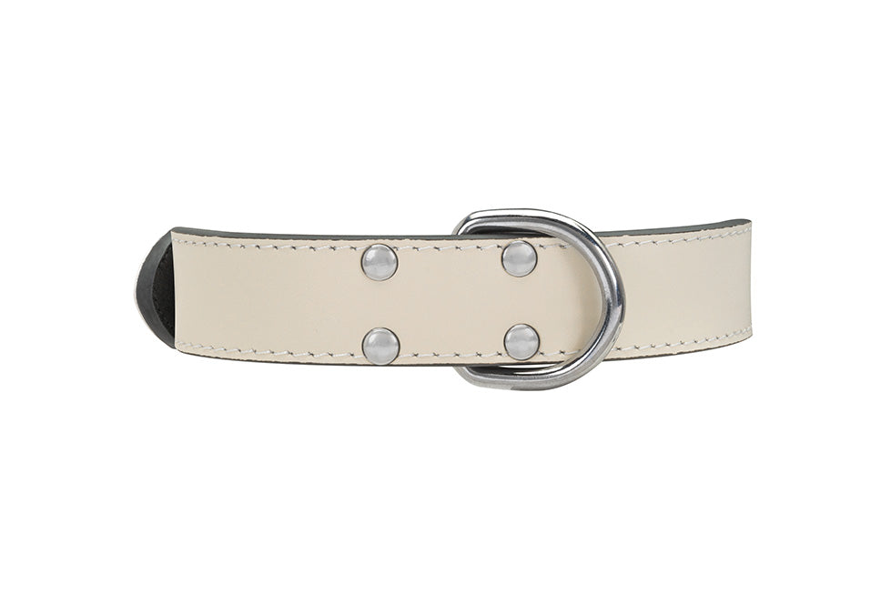 White leather sale dog collar